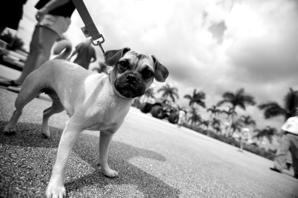 clunkersbw_03_lres clunkersbw_03_lres