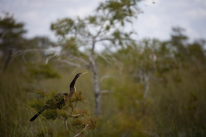 ever_02_lres ever_02_lres