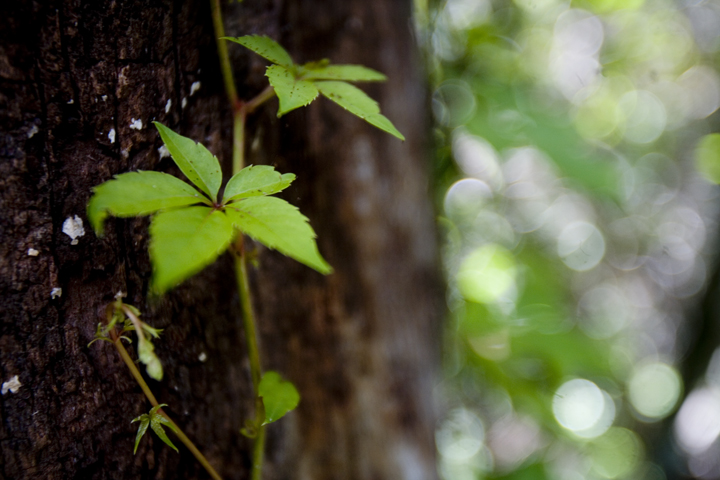 ever_09_lres ever_09_lres