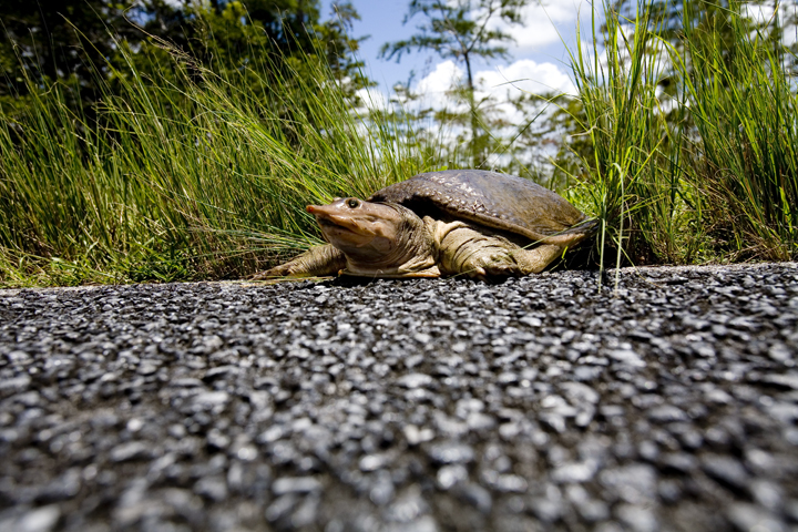 ever_12_lres ever_12_lres