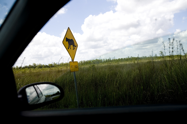 ever_14_lres ever_14_lres