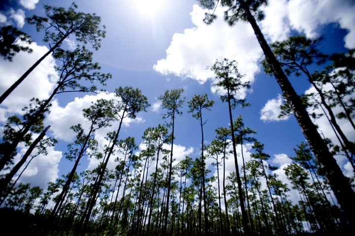 ever_17_lres ever_17_lres