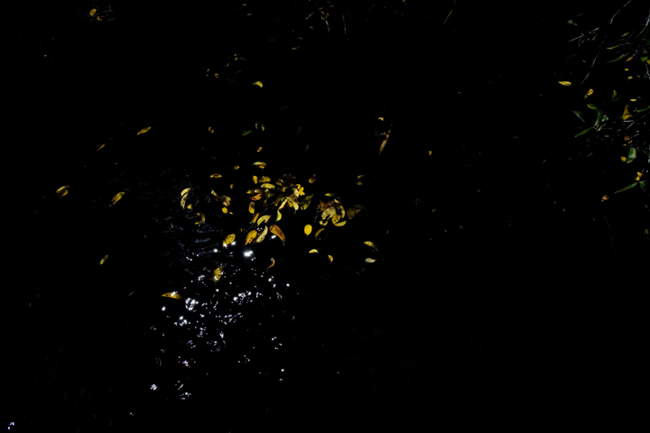 ever_19_lres ever_19_lres