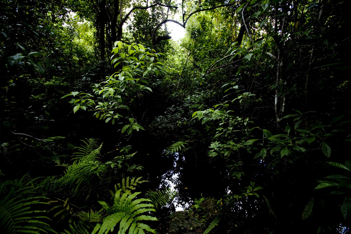 ever_20_lres ever_20_lres