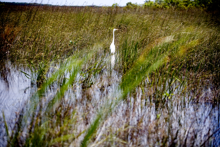 ever_21_lres ever_21_lres